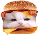 ShachiBaconCheeseburger
