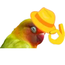 birbwithHat birbwithHat