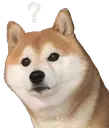 k_chamhoi