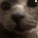 got_games_on_oh_ur_phone Discord emoji