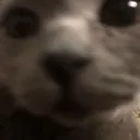 got_games_on_oh_ur_phone Discord Emoji