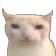 D_joshuadepressed