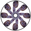 Sidneyscope