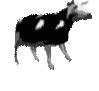 cowo Discord Emoji