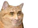 Zcat Discord Emoji
