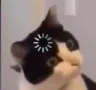 ch_think ch_think