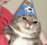 ch_wizard