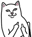 Middlefingercat middlefingercat Discord Emoji