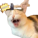 ch_pankobonk