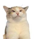 ch_pankomad Discord emoji