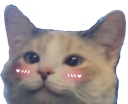 ch_pankoblush Discord emoji