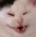 hehehehehe
