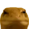sus_snek