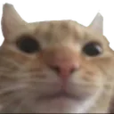 j_cato Discord Emoji