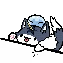 RongoBongo RongoBongo