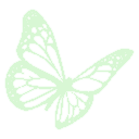 greenbutterfly
