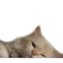 tootiredforthisshit