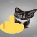 fuckyoy