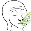 sniff