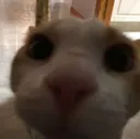 huh