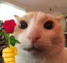 para_tu Discord emoji