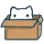 catpeek