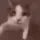 catH