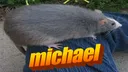 michael