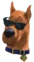 scoobcool