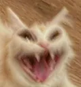 AAAAA