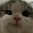 het