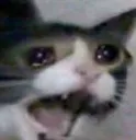 CatCri