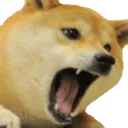 dogangry