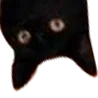 peekdown