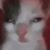 hmmgngnn
