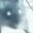 invertRatJAM invertRatJAM