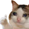 ThumbsUp