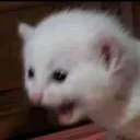 SCatSlam