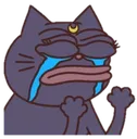 luna_cry