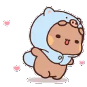CZ_BearSpin