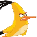 ChuckAngry ChuckAngry