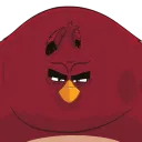 Terence
