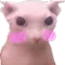 SCbingusflushed