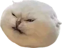 madcat
