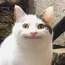 gary