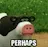 perhaps perhaps