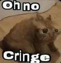 cringe cringe