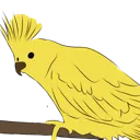 birbonbranch