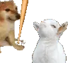 goatbonk