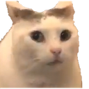 eeem Discord emoji